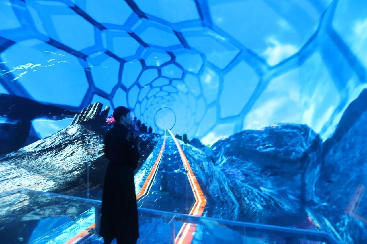 d47d2ed2fbe446edea09f868e77caab5.jpg d47d2ed2fbe446edea09f868e77caab5.jpg